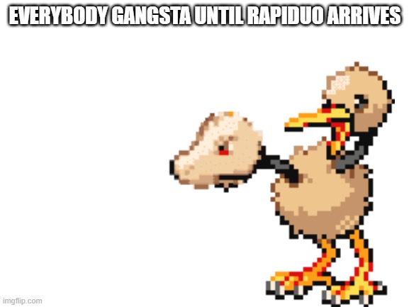 EVERYBODY GANGSTA UNTIL RAPIDUO ARRIVES | image tagged in pokemon,pokemon fusion | made w/ Imgflip meme maker