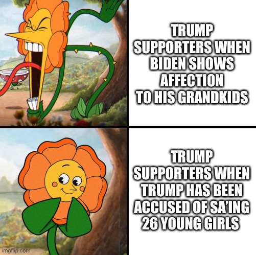 More conservative hypocricy | TRUMP SUPPORTERS WHEN BIDEN SHOWS AFFECTION TO HIS GRANDKIDS; TRUMP SUPPORTERS WHEN TRUMP HAS BEEN ACCUSED OF SA’ING 26 YOUNG GIRLS | image tagged in angry flower | made w/ Imgflip meme maker