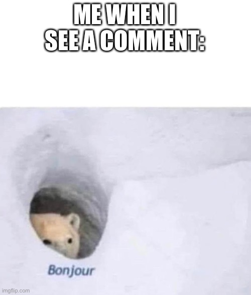 Bonjour | ME WHEN I SEE A COMMENT: | image tagged in bonjour | made w/ Imgflip meme maker