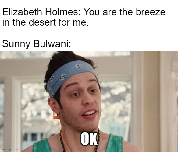 Hey tiger | Elizabeth Holmes: You are the breeze
in the desert for me. Sunny Bulwani:; OK | image tagged in chad ok | made w/ Imgflip meme maker