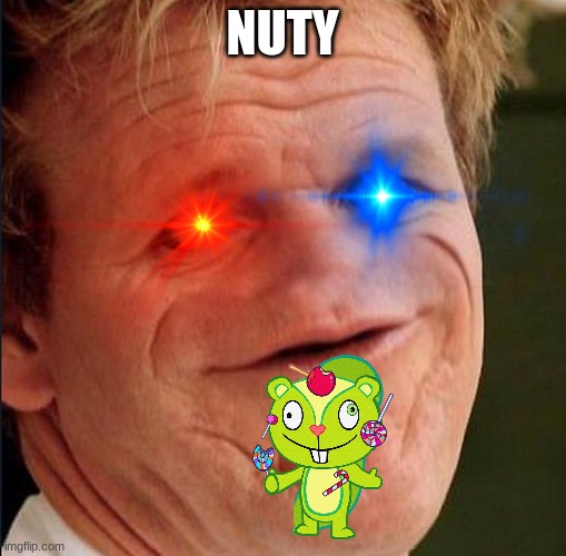 nuty | NUTY | image tagged in htf,meme | made w/ Imgflip meme maker