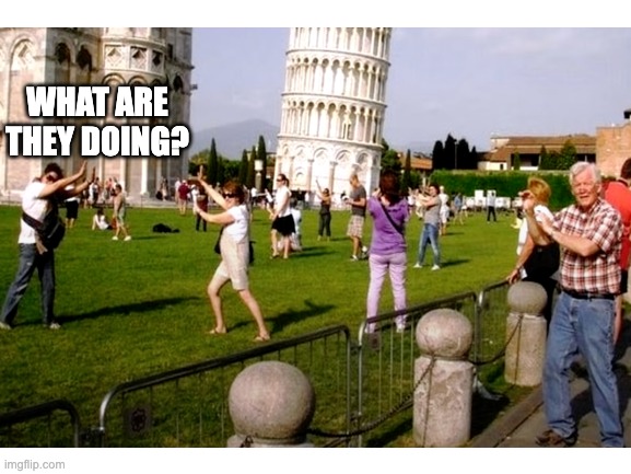 What are they doing? | WHAT ARE THEY DOING? | image tagged in photography | made w/ Imgflip meme maker