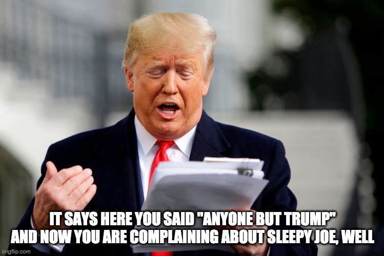 well well well -  rohb/rupe | IT SAYS HERE YOU SAID "ANYONE BUT TRUMP" AND NOW YOU ARE COMPLAINING ABOUT SLEEPY JOE, WELL | made w/ Imgflip meme maker