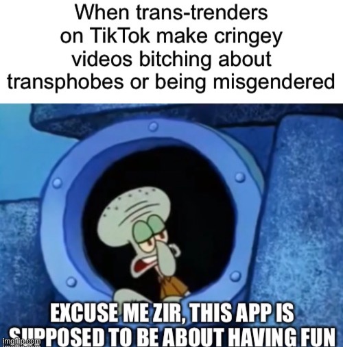image tagged in squidward,transgender,fun,memes | made w/ Imgflip meme maker