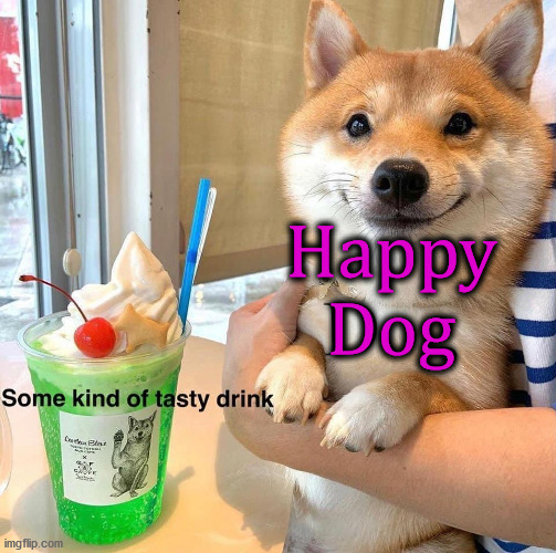 Happy Dog | image tagged in dogs | made w/ Imgflip meme maker