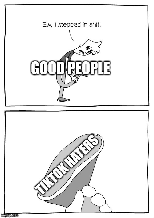 tiktok can be funny too | GOOD PEOPLE; TIKTOK HATERS | image tagged in ew i stepped in shit | made w/ Imgflip meme maker