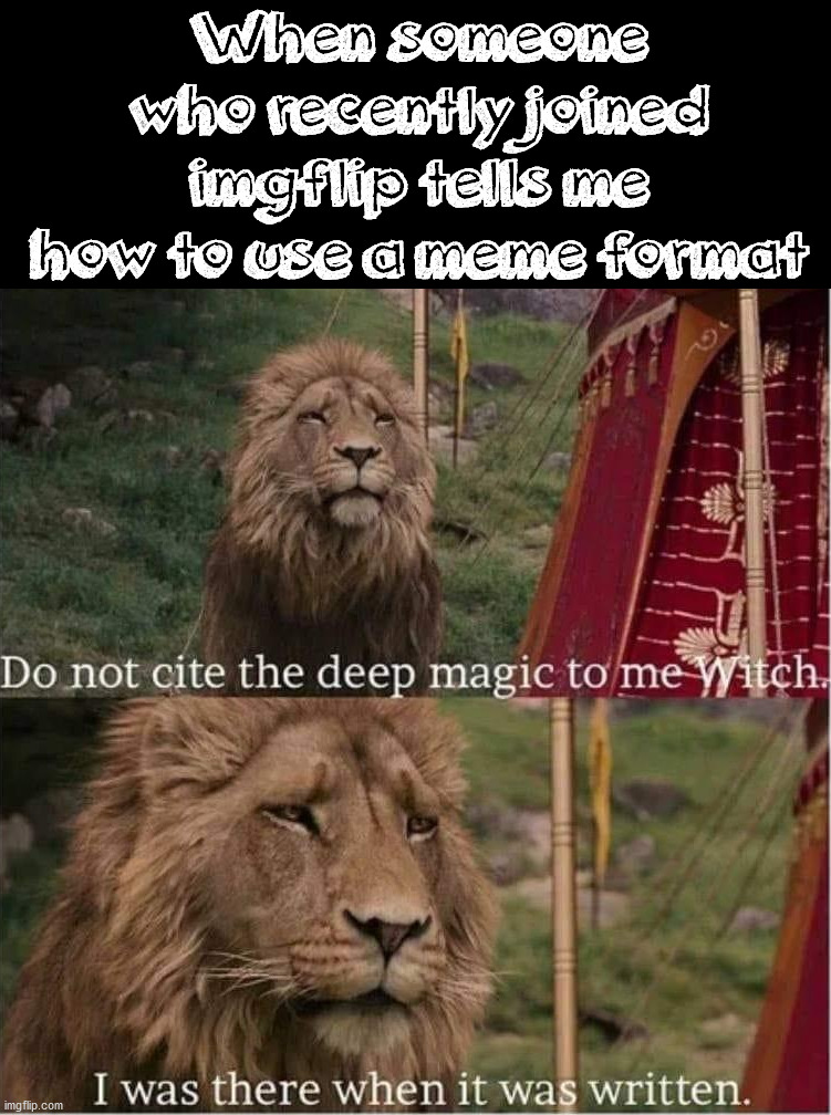 When someone who recently joined imgflip tells me how to use a meme format | image tagged in imgflip,template | made w/ Imgflip meme maker