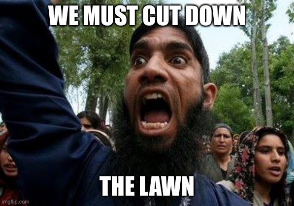 Angry Muslim | WE MUST CUT DOWN; THE LAWN | image tagged in angry muslim | made w/ Imgflip meme maker