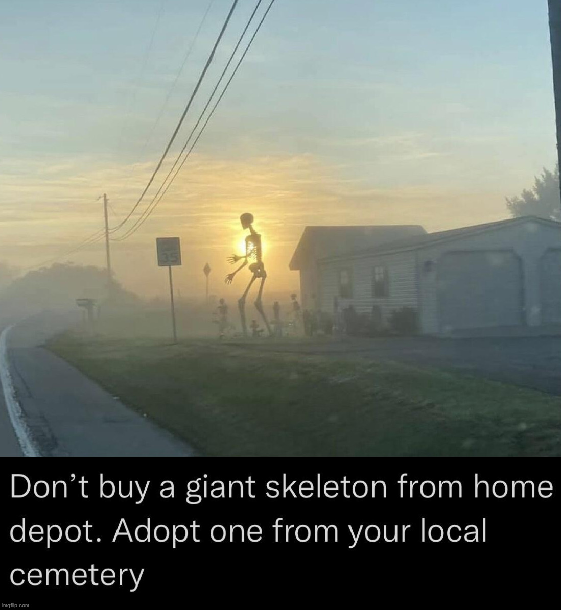 image tagged in skeleton,giant,home depot,cemetery | made w/ Imgflip meme maker