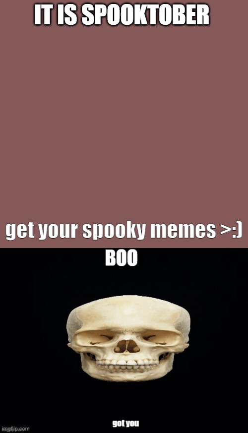is time to SPOOK SUCKAS | IT IS SPOOKTOBER; get your spooky memes >:) | image tagged in memes,blank transparent square,spooky,skull,stop reading the tags,spooktober | made w/ Imgflip meme maker