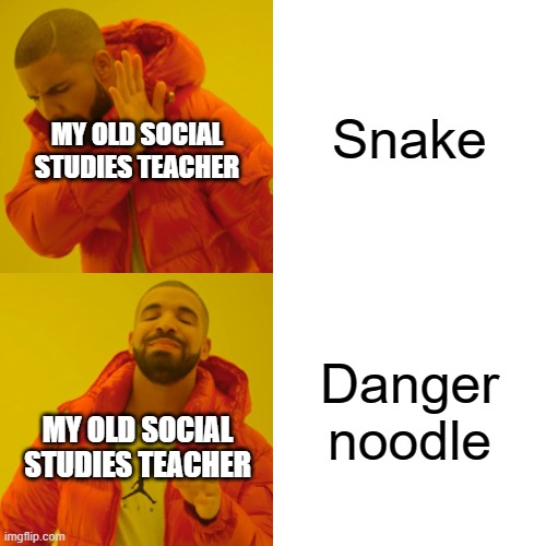 Miss you Mr. Linton! |  Snake; MY OLD SOCIAL STUDIES TEACHER; Danger noodle; MY OLD SOCIAL STUDIES TEACHER | image tagged in memes,drake hotline bling | made w/ Imgflip meme maker