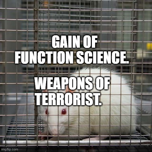 Lab Rat | GAIN OF FUNCTION SCIENCE. WEAPONS OF TERRORIST. | image tagged in lab rat | made w/ Imgflip meme maker