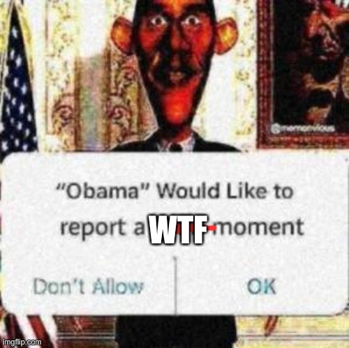 obama would like to report a bruh moment | WTF | image tagged in obama would like to report a bruh moment | made w/ Imgflip meme maker