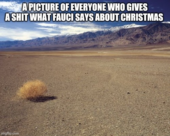 desert tumbleweed | A PICTURE OF EVERYONE WHO GIVES A SHIT WHAT FAUCI SAYS ABOUT CHRISTMAS | image tagged in desert tumbleweed | made w/ Imgflip meme maker