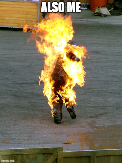 Burnt | ALSO ME | image tagged in burnt | made w/ Imgflip meme maker