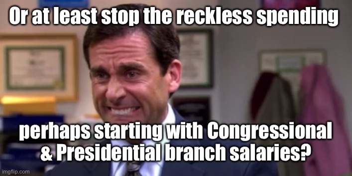 Michael Scott Upset | Or at least stop the reckless spending perhaps starting with Congressional & Presidential branch salaries? | image tagged in michael scott upset | made w/ Imgflip meme maker