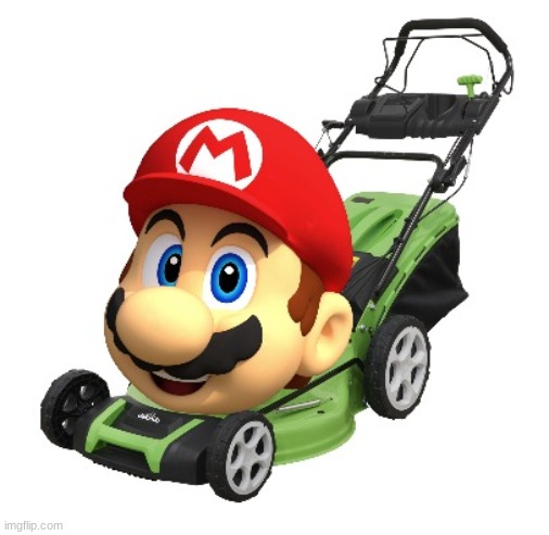 MARIO MOWER OPINION | image tagged in mario mower opinion | made w/ Imgflip meme maker