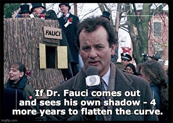 Groundhog Day | FAUCI; If Dr. Fauci comes out and sees his own shadow - 4 more years to flatten the curve. | image tagged in groundhog day | made w/ Imgflip meme maker