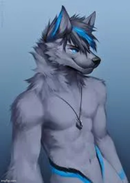 Art not mine. | image tagged in furry | made w/ Imgflip meme maker