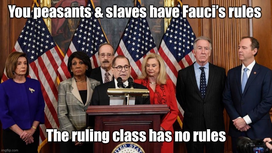 House Democrats | You peasants & slaves have Fauci’s rules The ruling class has no rules | image tagged in house democrats | made w/ Imgflip meme maker
