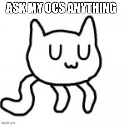 UwU cat | ASK MY OCS ANYTHING | image tagged in uwu cat | made w/ Imgflip meme maker