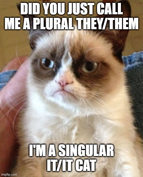 When you call a singular a plural. |  DID YOU JUST CALL ME A PLURAL THEY/THEM; I'M A SINGULAR IT/IT CAT | image tagged in memes,grumpy cat | made w/ Imgflip meme maker