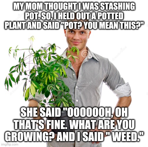 Sorry I don't post much anymore, im just really busy. But hey, here's another meme for now to keep y'all entertained. | MY MOM THOUGHT I WAS STASHING POT. SO, I HELD OUT A POTTED PLANT AND SAID "POT? YOU MEAN THIS?"; SHE SAID "OOOOOOH, OH THAT'S FINE. WHAT ARE YOU GROWING? AND I SAID " WEED." | image tagged in weed,memes,funny | made w/ Imgflip meme maker