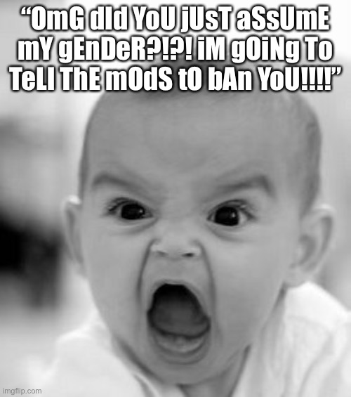 Msmg in a nutshell | “OmG dId YoU jUsT aSsUmE mY gEnDeR?!?! iM gOiNg To TeLl ThE mOdS tO bAn YoU!!!!” | image tagged in memes,angry baby | made w/ Imgflip meme maker