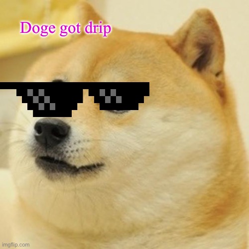Doge Meme | Doge got drip | image tagged in memes,doge | made w/ Imgflip meme maker