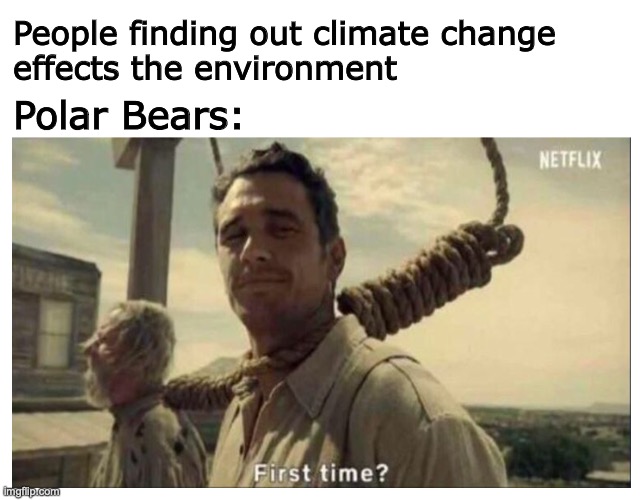 Environmental Education | People finding out climate change 
effects the environment; Polar Bears: | image tagged in climate change,global warming,polar bear | made w/ Imgflip meme maker