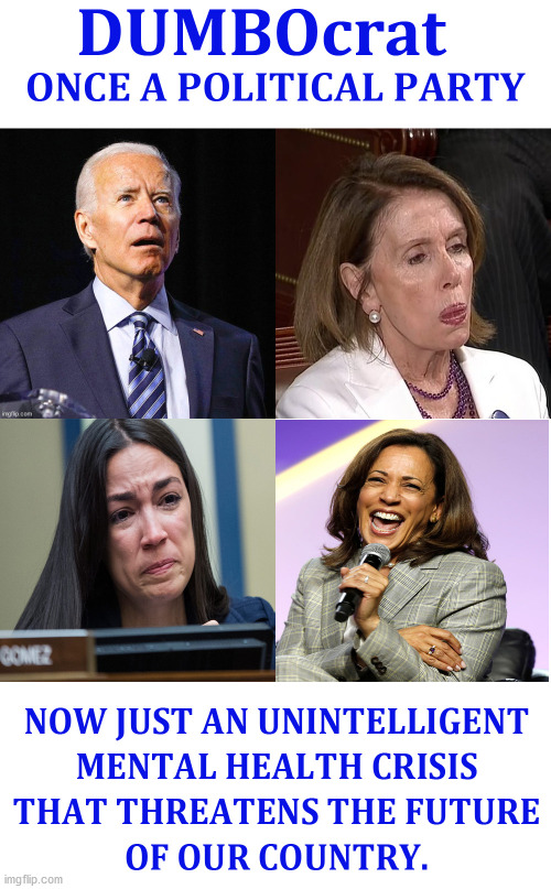 Stupid liberals | image tagged in stupid liberals | made w/ Imgflip meme maker