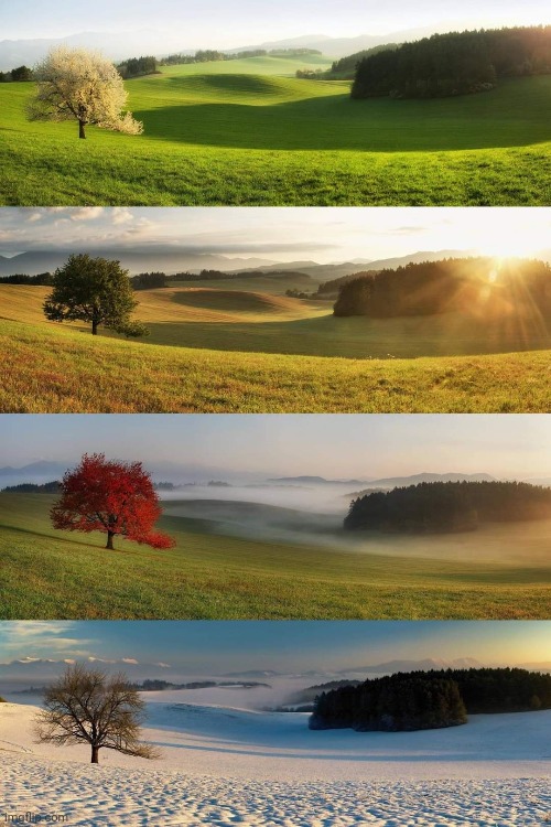 Same Scene, Four Seasons | image tagged in seasons,beautiful nature,awesome,photography | made w/ Imgflip meme maker