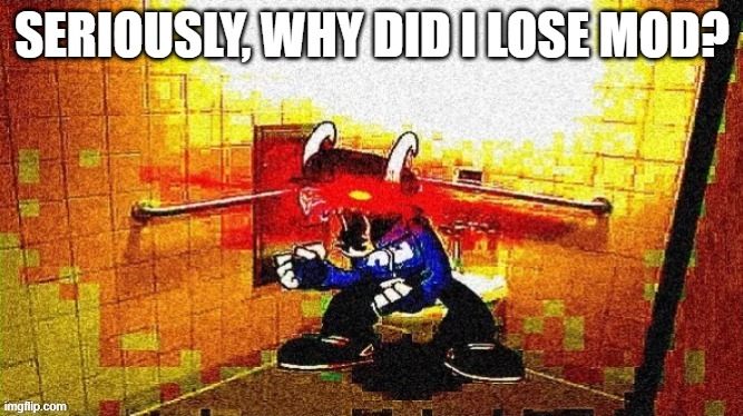 Tabi Taking A Shit | SERIOUSLY, WHY DID I LOSE MOD? | image tagged in tabi taking a shit | made w/ Imgflip meme maker