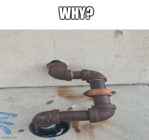 WHY? | image tagged in blank white template | made w/ Imgflip meme maker