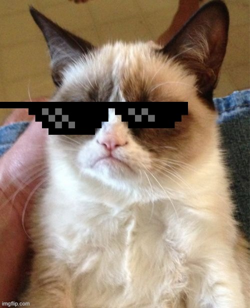 Grumpy Cat Meme | image tagged in memes,grumpy cat | made w/ Imgflip meme maker