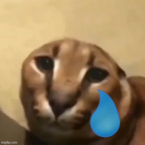 Sad floppa | image tagged in big floppa | made w/ Imgflip meme maker