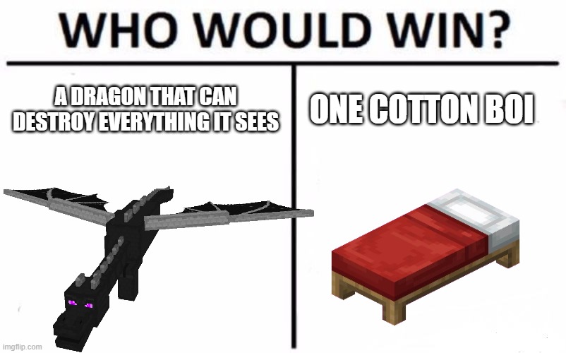 what why | A DRAGON THAT CAN DESTROY EVERYTHING IT SEES; ONE COTTON BOI | image tagged in memes,who would win | made w/ Imgflip meme maker