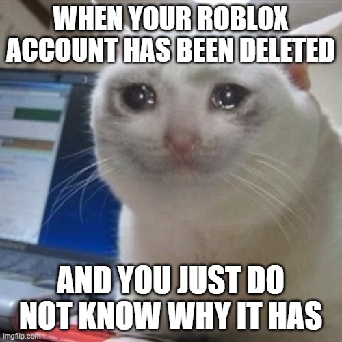WHEN YOUR ROBLOX ACCOUNT HAS BEEN DELETED AND YOU JUST DO NOT KNOW WHY IT HAS | image tagged in crying cat | made w/ Imgflip meme maker