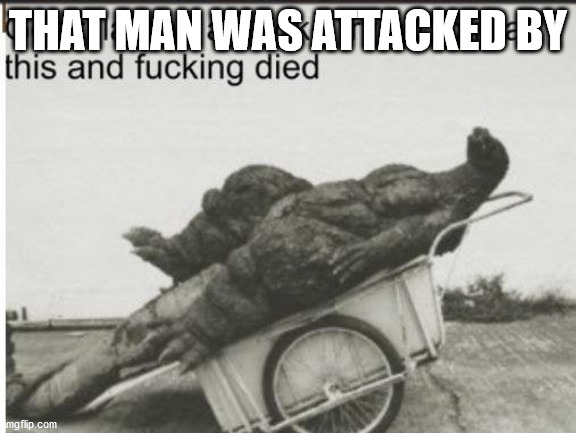 Godzilla | THAT MAN WAS ATTACKED BY | image tagged in godzilla | made w/ Imgflip meme maker