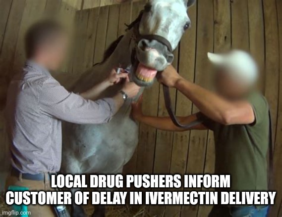 HORSE ON DRUGS |  LOCAL DRUG PUSHERS INFORM CUSTOMER OF DELAY IN IVERMECTIN DELIVERY | image tagged in wild horse,funny memes | made w/ Imgflip meme maker