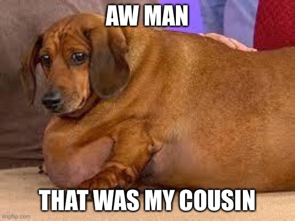 fat dog | AW MAN THAT WAS MY COUSIN | image tagged in fat dog | made w/ Imgflip meme maker