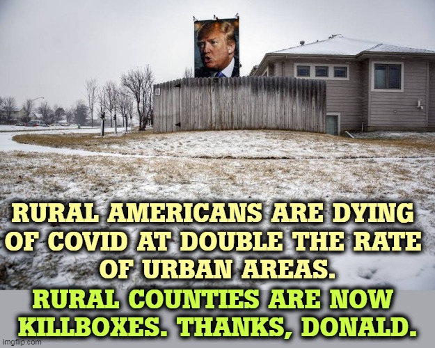 Vaccines are safe and effective, but Trump led America into death. | RURAL AMERICANS ARE DYING 
OF COVID AT DOUBLE THE RATE 
OF URBAN AREAS. RURAL COUNTIES ARE NOW 
KILLBOXES. THANKS, DONALD. | image tagged in country,death,trump,murderer,killer | made w/ Imgflip meme maker