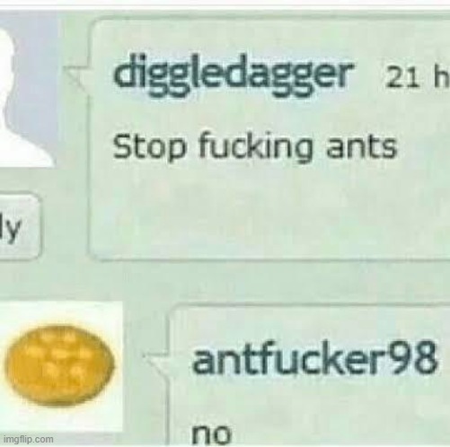 no | made w/ Imgflip meme maker