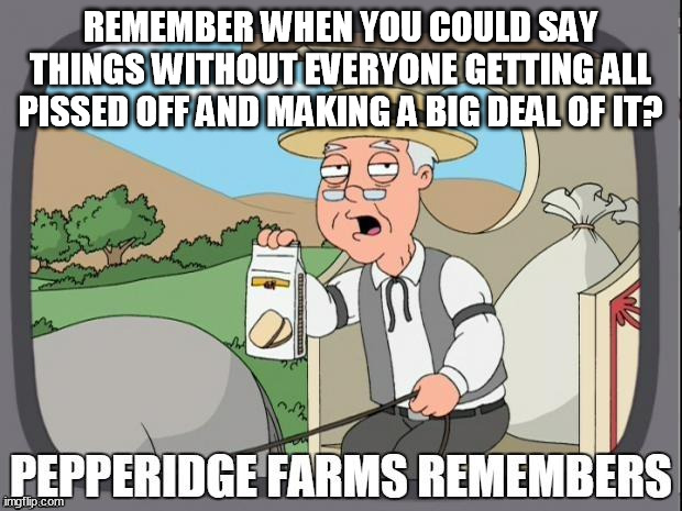 PEPPERIDGE FARMS REMEMBERS | REMEMBER WHEN YOU COULD SAY THINGS WITHOUT EVERYONE GETTING ALL PISSED OFF AND MAKING A BIG DEAL OF IT? | image tagged in pepperidge farms remembers,memes | made w/ Imgflip meme maker
