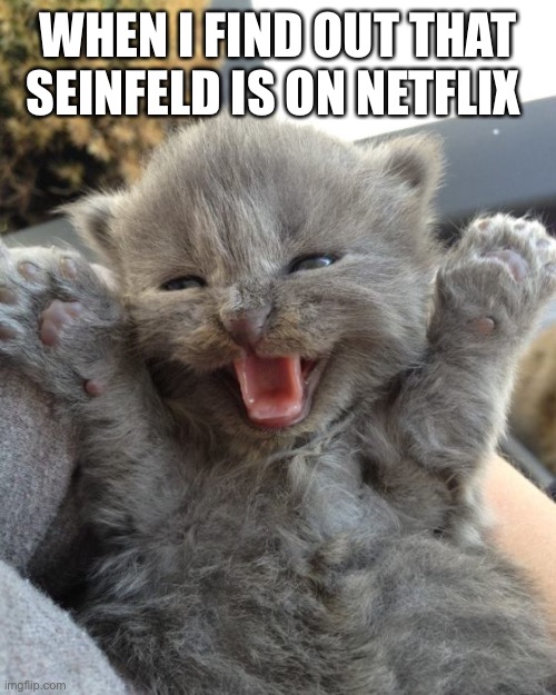 Yay Kitty | WHEN I FIND OUT THAT SEINFELD IS ON NETFLIX | image tagged in yay kitty | made w/ Imgflip meme maker
