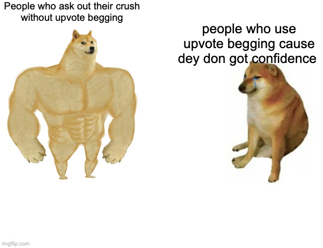 the meme people MEME IS IMPORTANT :D | People who ask out their crush 
without upvote begging; people who use upvote begging cause dey don got confidence | image tagged in memes,buff doge vs cheems | made w/ Imgflip meme maker