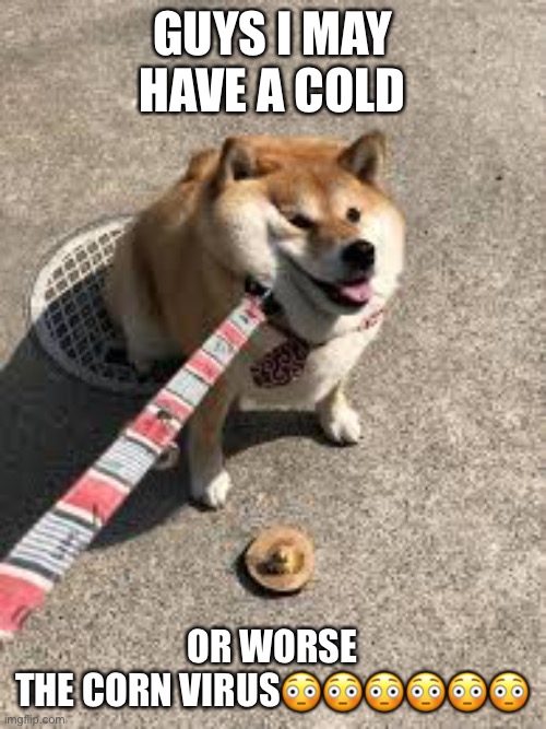 In all seriousness, I do have a sickness | GUYS I MAY HAVE A COLD; OR WORSE
THE CORN VIRUS😳😳😳😳😳😳 | image tagged in squishy doggo leash | made w/ Imgflip meme maker