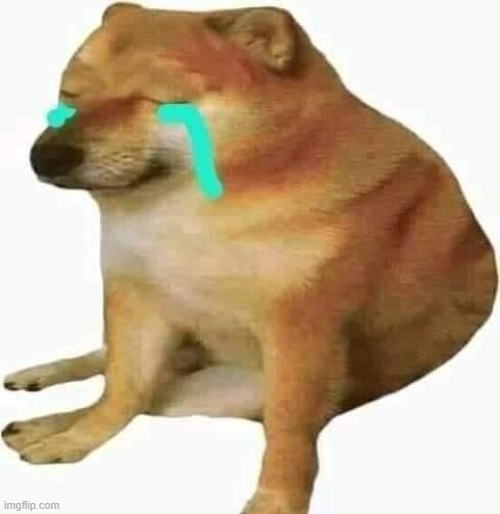 cheems crying | image tagged in cheems crying | made w/ Imgflip meme maker