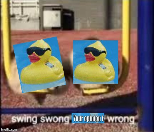 swing swong your opinion is wrong | image tagged in swing swong your opinion is wrong | made w/ Imgflip meme maker