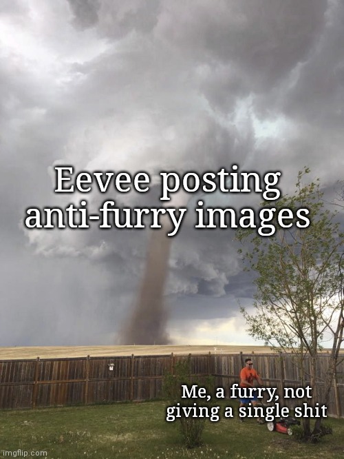 Tornado Lawn Mowing Man | Eevee posting anti-furry images; Me, a furry, not giving a single shit | image tagged in tornado lawn mowing man | made w/ Imgflip meme maker